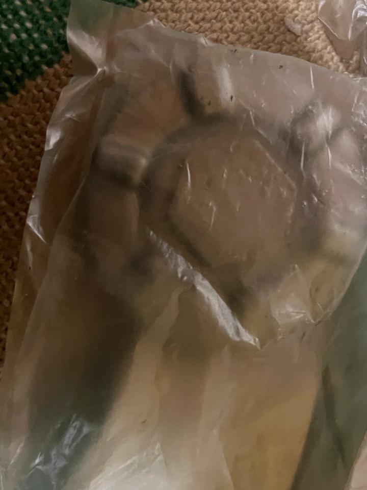 Yamaha Kodiak 450 ölablasschraune Ölfilter 4НС-15351-00