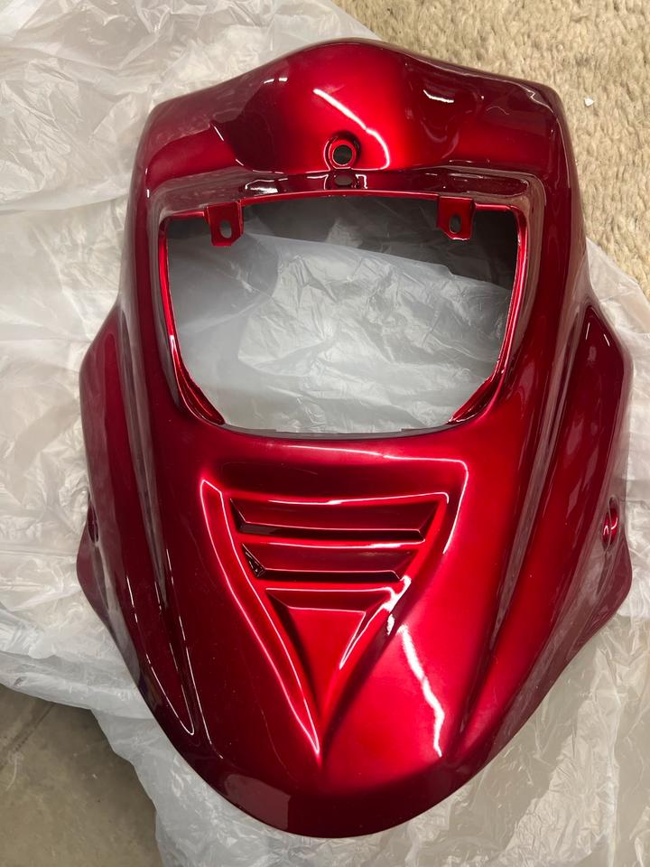 Tgp Roller Verkleidung neu 40€