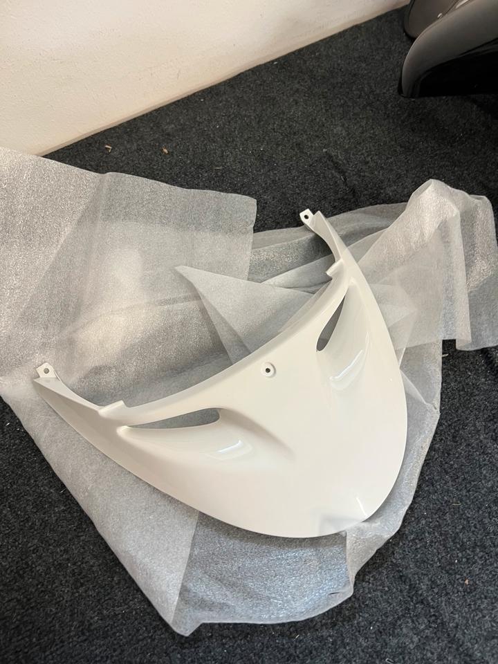 Peugeot Speedake 50 2T Frontverkleidung,, 1173063801, neu
