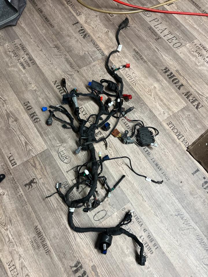 Ktm RC 125 Kabelbaum komplett 100€