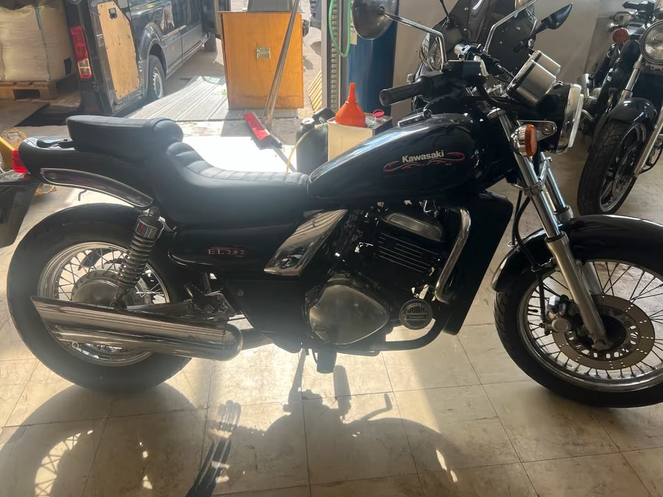Kawasaki EL250