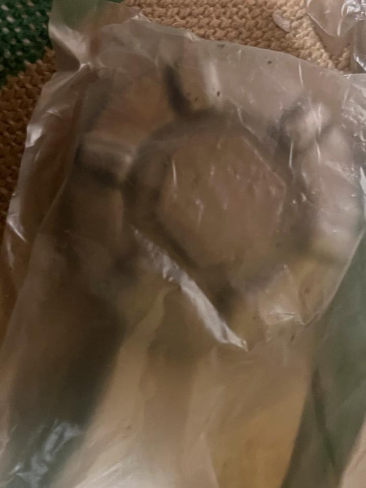 Yamaha Kodiak 450 ölablasschraune Ölfilter 4НС-15351-00