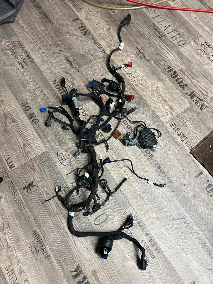 Ktm RC 125 Kabelbaum komplett 100€