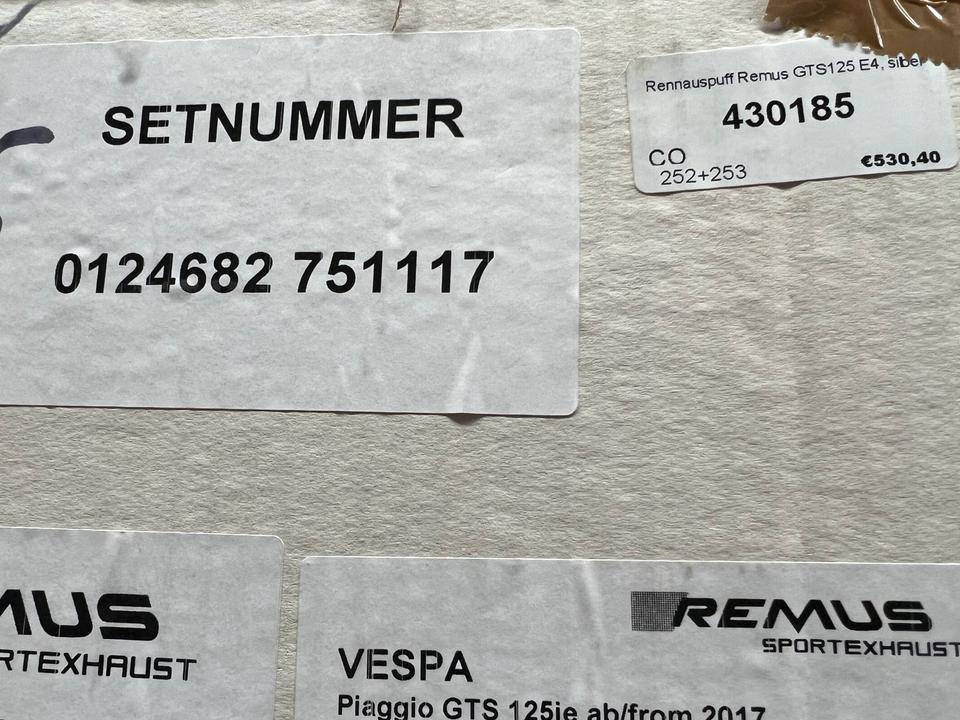 Vespa gts 125 Remus Sport Auspuff 350€ neu