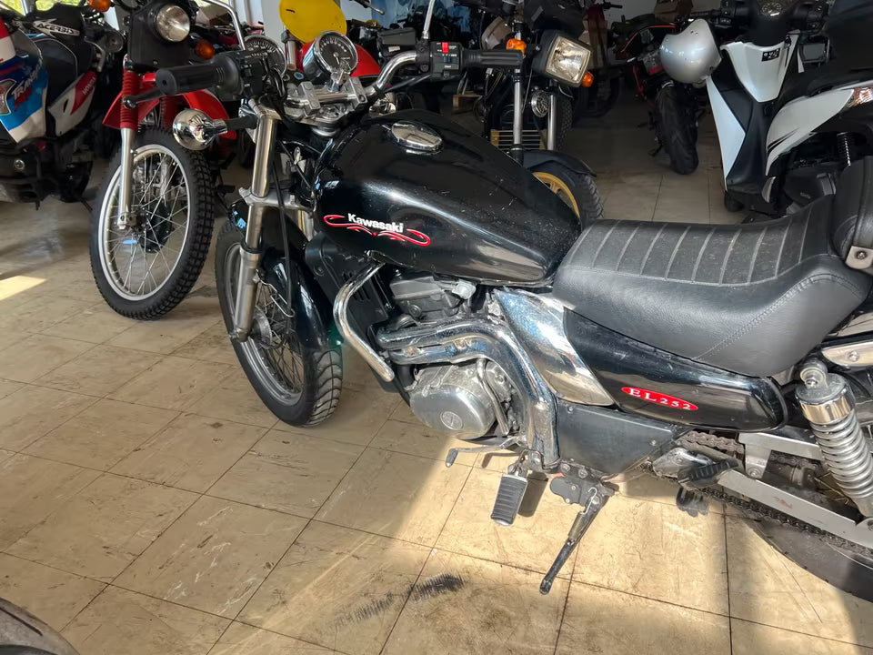 Kawasaki EL250