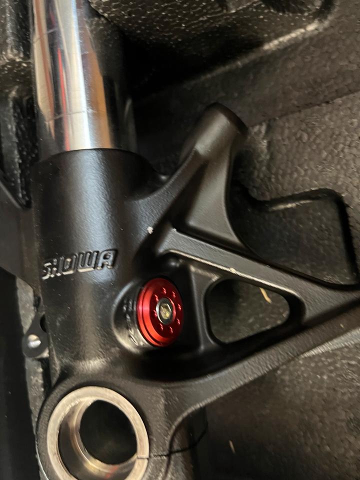 Ducati Panigale V4 Gabel komplett links rechts unfallfrei