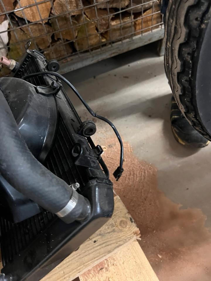 Kawasaki Z 1000 2003- Kühler Unfall und Umfallerfrei
