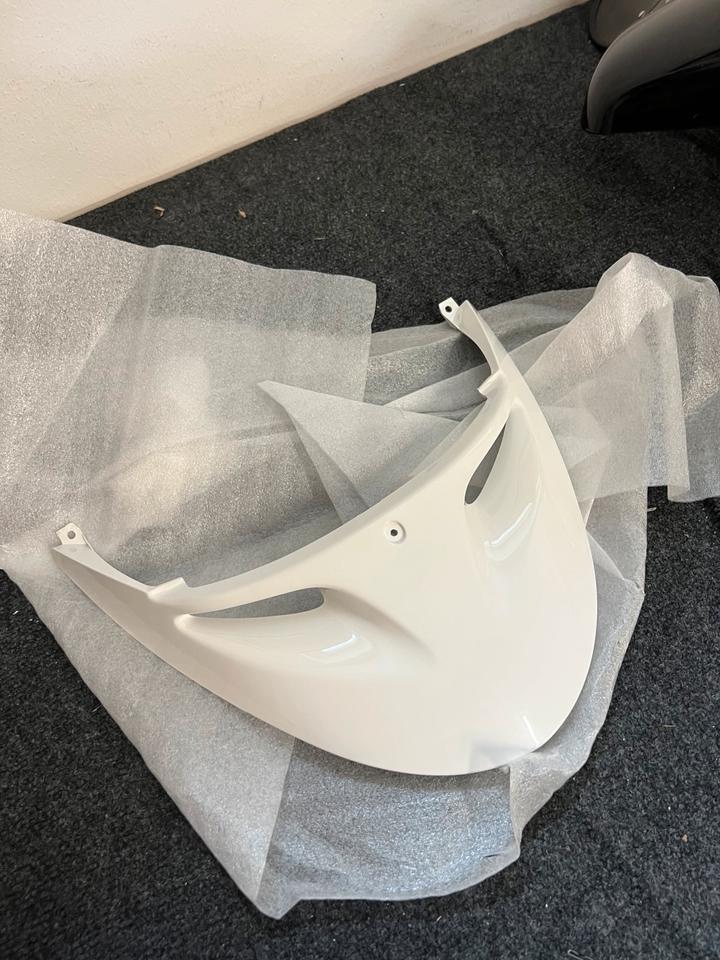 Peugeot Speedake 50 2T Frontverkleidung,, 1173063801, neu